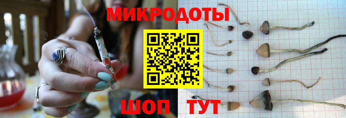 Галлюциногенные грибы мицелий Щёлково